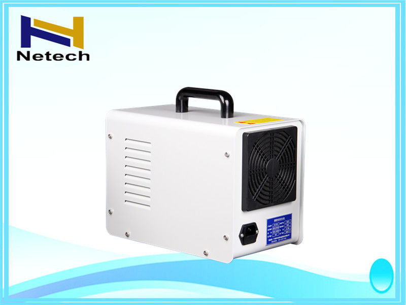 Ozone equipment cleanr Food Ozone Generator 110V / 220V