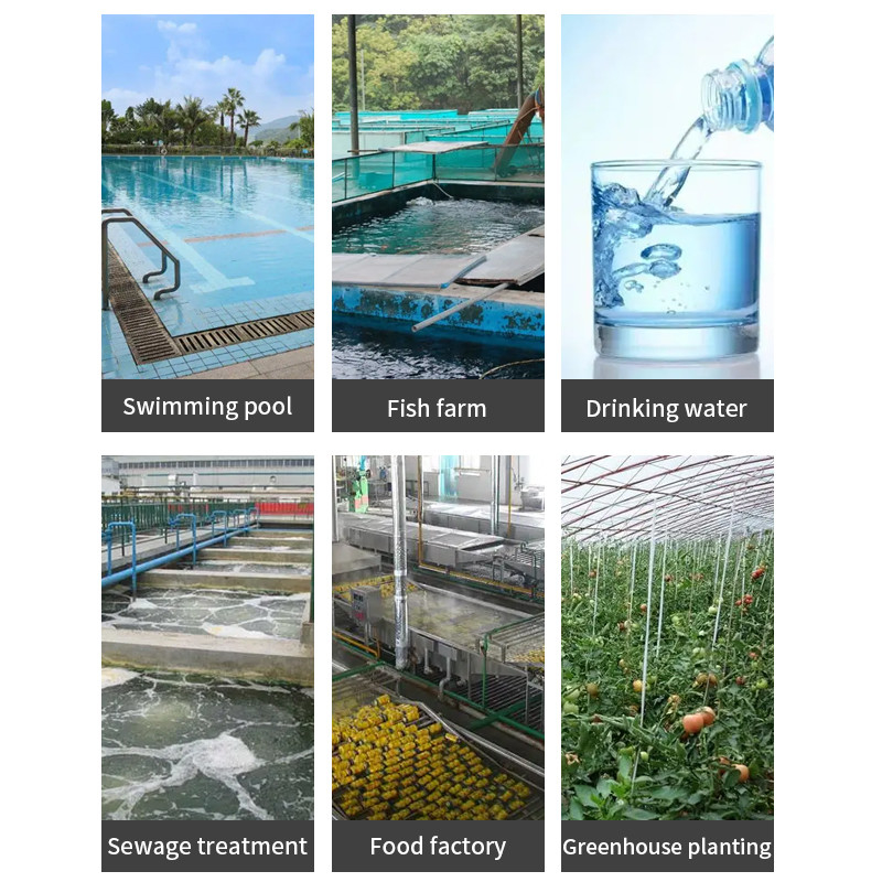100G Industrial Ozone Generator industrial waste water treatment RAS fish farming water treatment
