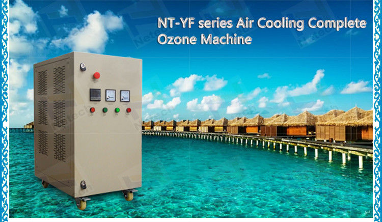 220V aquaculture ozone generator 5g for food clean water treatment