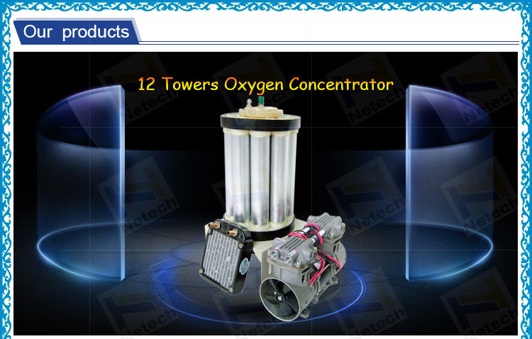 High concentration Twelve Tower O2 Generator Molecular Sieve PSA 5LPM for oxygen concentrator